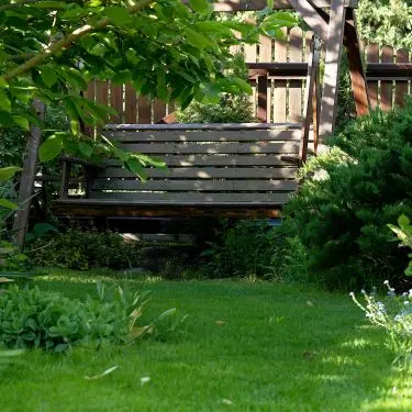 7 prydbuske, der tåler skygge